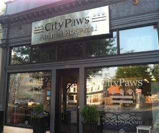 CityPaws Animal Hospital