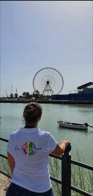 ACTIVIDADES TURÍSTICAS Y EXCURSIONES