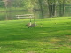 Photo of La Follette Park - 402 Brill Street, Kaukauna, WI 54130, USA