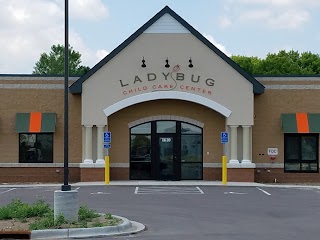Ladybug Child Care Center Inc