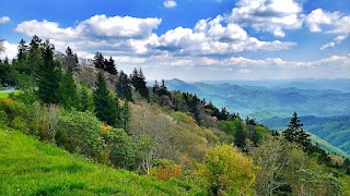 Yellow Face Overlook