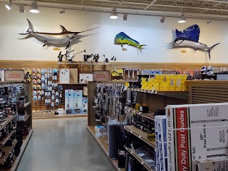 Cabela's