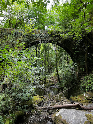 Parque Natural de las Fragas del Eume