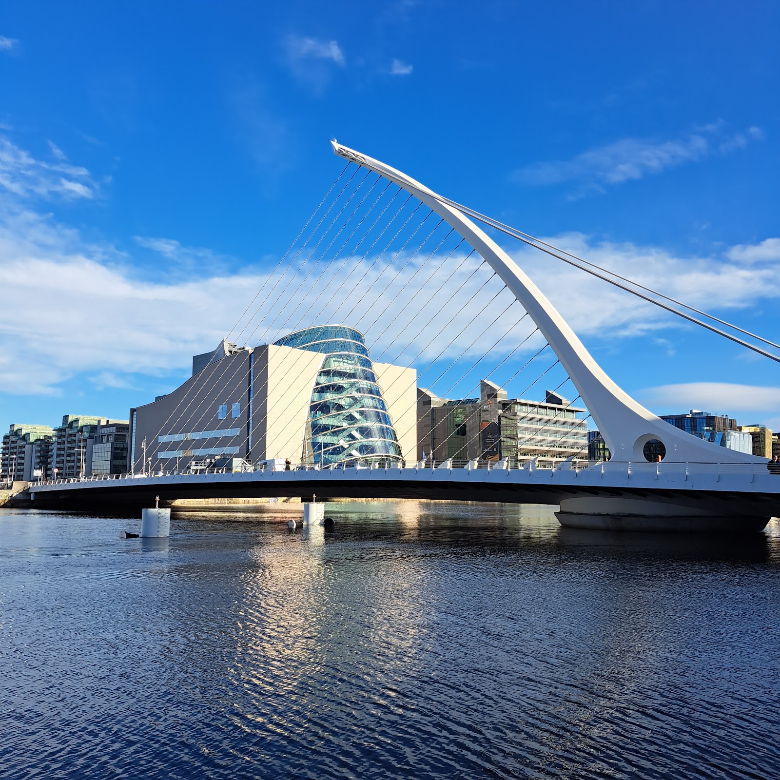 Samuel Beckett Bridge