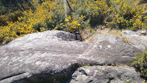 Petroglifo de A Pedra das Serpes