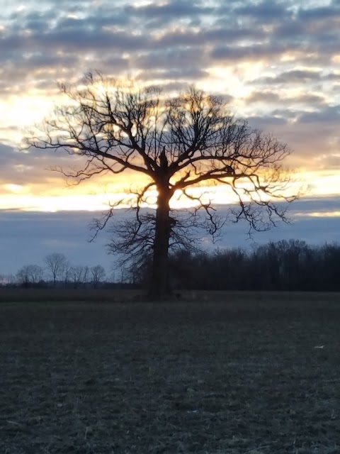 Photo of D R Powell - 1673 Diamond Mill Road, Brookville, OH 45309, USA