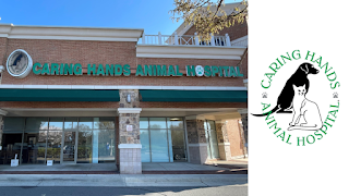 Caring Hands Animal Hospital - Ashburn