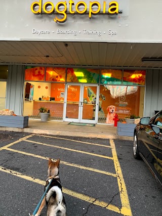 Dogtopia of Tysons Corner