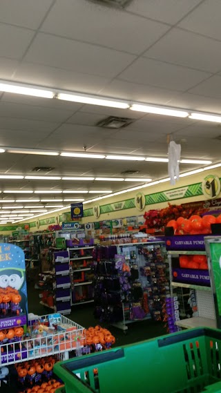 Dollar Tree