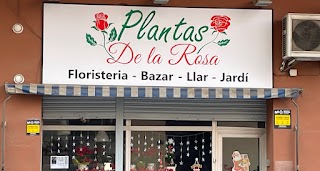 Floristería Plantas de la Rosa