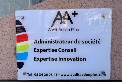 Audit Action Plus