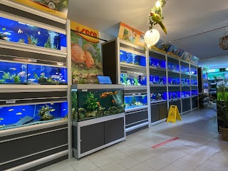 Logan's City-Zoo Zoohandlung Aquaristik Zierfische Tierhandlung