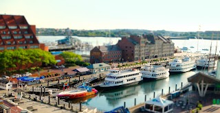 Boston Harbor City Cruises