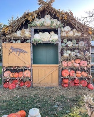 The Old Lucketts Store