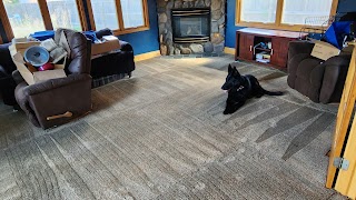 Nu-Way Carpet Cleaning