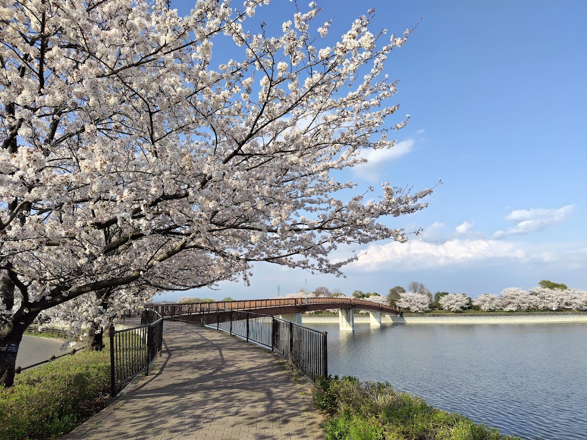 波志江沼環境ふれあい公園