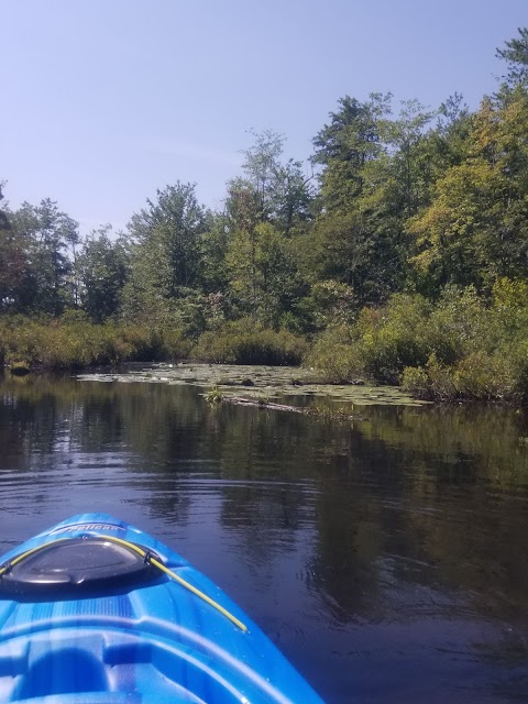 Bear Spring Camps