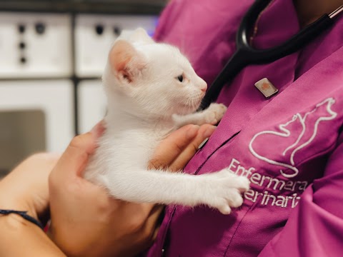 Clínica Veterinaria Añaterve