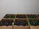 Photo of Papasonn Produce - 1460-A Diggs Drive, Raleigh, NC 27603, USA
