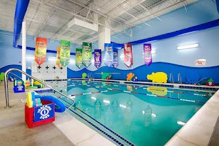 Aqua-Tots Swim Schools Myers Park