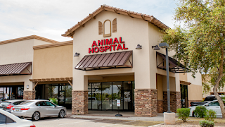 Chandler Gilbert Animal Hospital