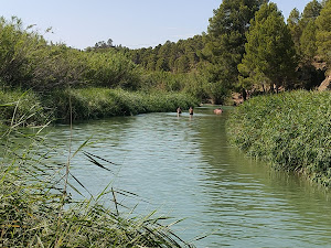 Cases del Riu, Requena, València