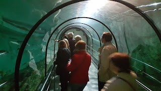 Estación de Ecología Acuática