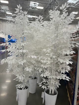 Sam's Club Floral