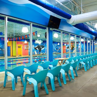 Goldfish Swim School -West Bloomfield