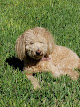 Photo of Tara Family Counseling Services - 3812 West Linebaugh Avenue, Greater Carrollwood, FL 33618, USA