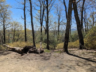 Looking Glass Rock Trailhead