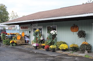 Mitolo's Flower Shoppe