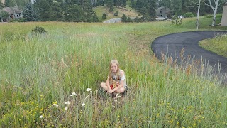 Foothills Pool Genesee