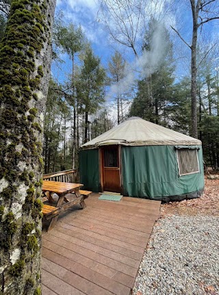 Maine Forest Yurts