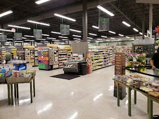 Publix Super Market at Northpoint Village Shopping Center