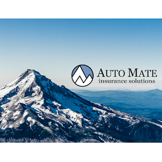 Auto Mate Insurance