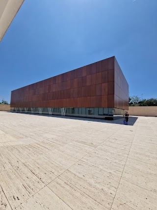 Museo de la Universidad de Alicante