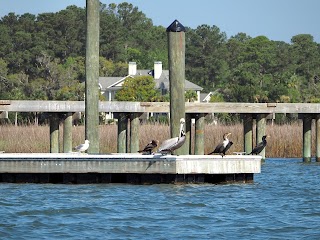 Savannah Coastal Ecotours