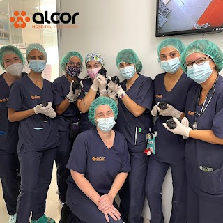 Hospital veterinario ALCOR