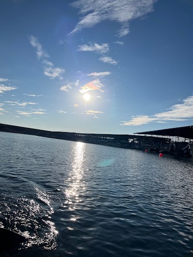 Lake Pleasant Harbor