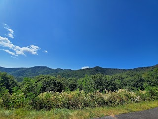 Scott Creek Overlook