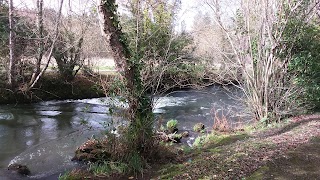 Arboreto galego da Cortiña