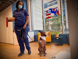 District Veterinary Hospital - Navy Yard