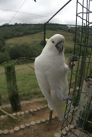 Zoológico El Bosque