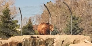 Lighthouse Point Splash Zone at Hogle Zoo