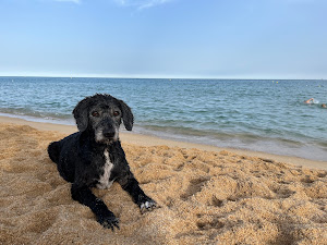 Playa de Perros de Sant Vicenç de Montalt