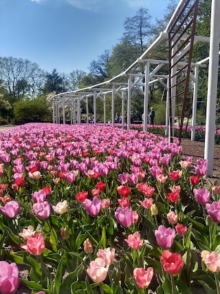 Botanischer Garten Bremen