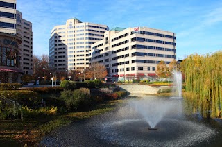 Virginia Law Center for Immigration and Citizenship, PLLC