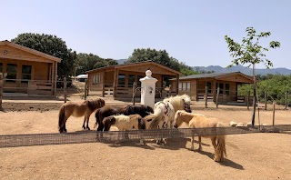 Haras de Tesa - Les chalets de Tesa