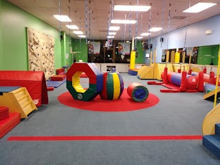 My Gym Children's Fitness Center